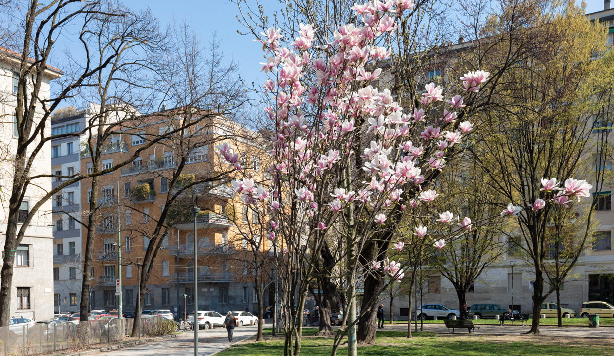 24_viale_coni_zugna_29