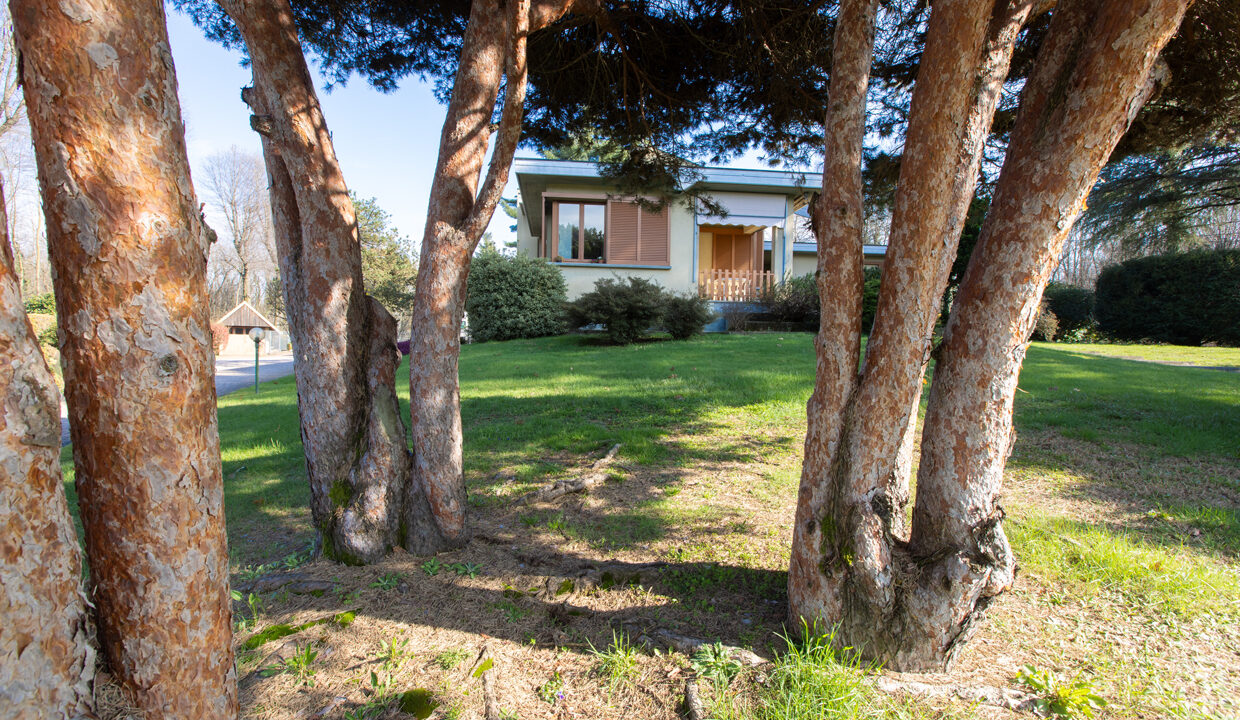 36_via_Monte_San_Martino_102_Gallarate